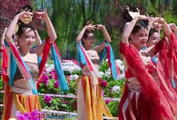 菏泽国花牡丹园里，人美花更娇