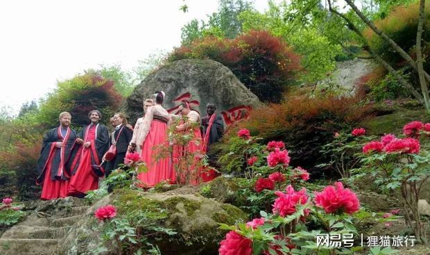 下载 (1).jpg