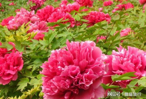 下载 (2).jpg