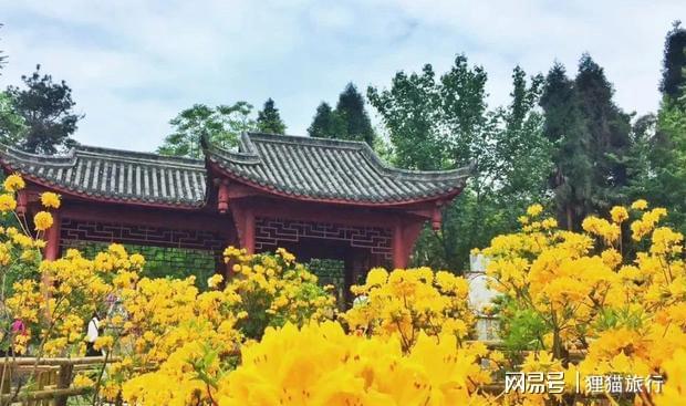下载 (4).jpg