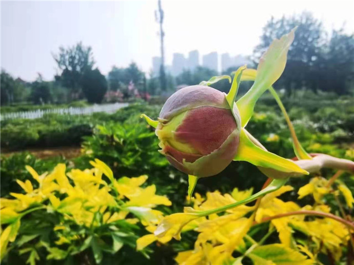 微信图片_20210730095306.jpg