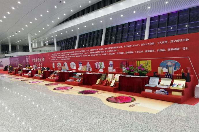 图片7.jpg